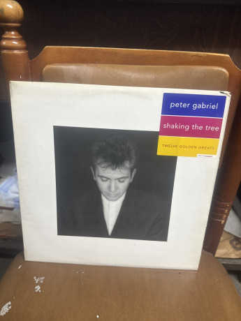 peter-gabriel-shaking-the-tree-big-0
