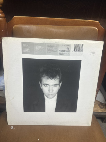 peter-gabriel-shaking-the-tree-big-1