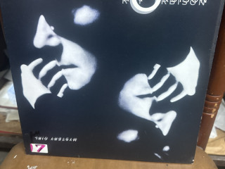 roy-orbison-mystery-girl