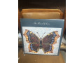the-house-of-love-lp-small-0